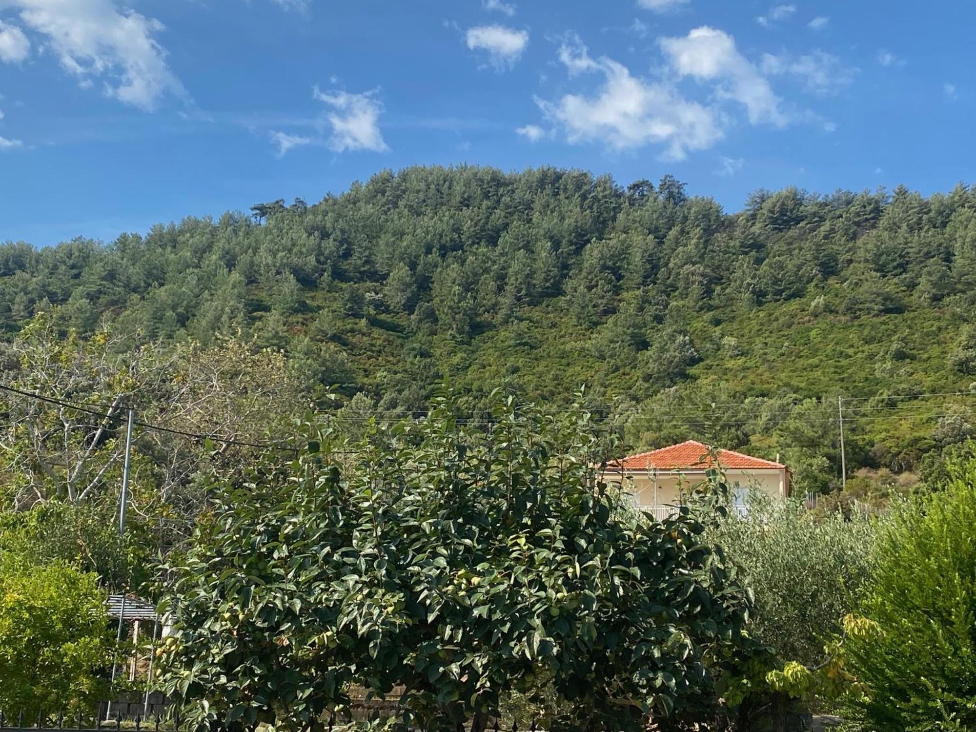 Blue Bay Beach Hotel Koinira Dış mekan fotoğraf